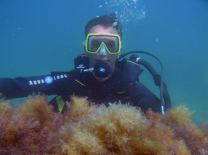 Александр Прокуратов фотография #8