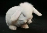 Фотография Хрычёва Диана