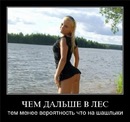 Роман Медвідь фотография #27 (источник - https://vk.com/id138498285)