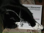 Фотография Башкина Макса