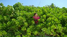 Кирилл Рябцев фотография #35 (источник - https://vk.com/id1758759)