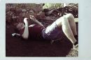 Андрей Йй фотография #48 (источник - https://vk.com/id2751346)