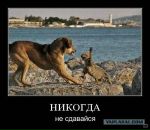 Угарный Мальчишка фотография #45 (источник - https://vk.com/id81366889)