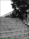 Фотография Шаповаловой Виктории
