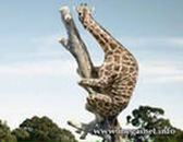 Фотография Сироткина Алексея