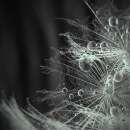 Фотография Чупровой Агнии