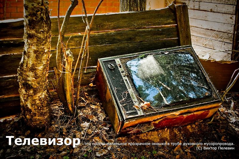 Денис Никитин фотография #5