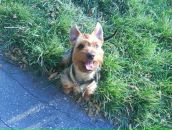 Фотография Григорьевой Светланы