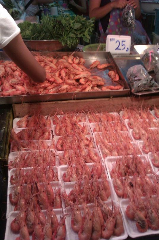 Александр Пак фотография #45