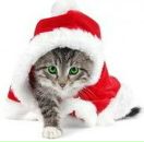 Фотография Катышева Сергея