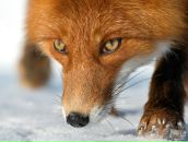 Сергей Ченкин фотография #10 (источник - https://vk.com/id1961774)