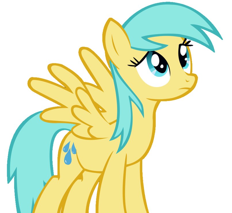 Raindrops Pegasus фотография #44