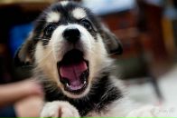 Фотография Полетаевой Юлии