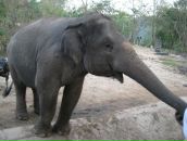 Клевый Парень фотография #26 (источник - https://vk.com/id391001)