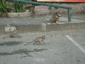 Клевый Парень фотография #30 (источник - https://vk.com/id391001)