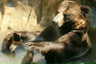 Фотография Балобанова Анатолия