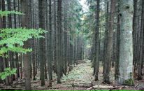 Валерій Шевчук фотография #17 (источник - https://vk.com/id28962214)