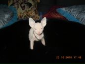 Фотография Тукачевой Анастасии