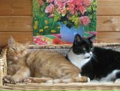 Фотография Грибановой Марины