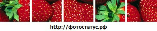 Сергій Лютик фотография #19 (источник - https://vk.com/id99852117)