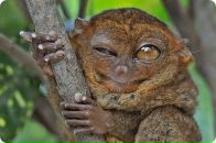 Данил Смирнов фотография #46 (источник - https://vk.com/id532575)