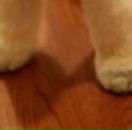 Разбитое Сердце фотография #2 (источник - https://vk.com/id611602)