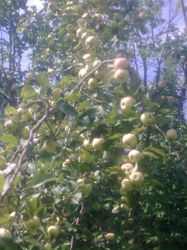 Сергей Плугарь фотография #48