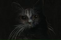 Фотография Князевой Марины