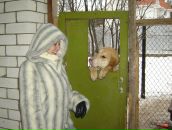 Фотография Дементьевой Катерины