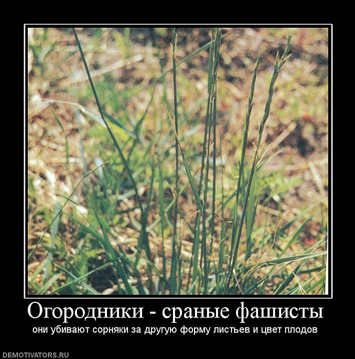 Иван Иванов фотография #26