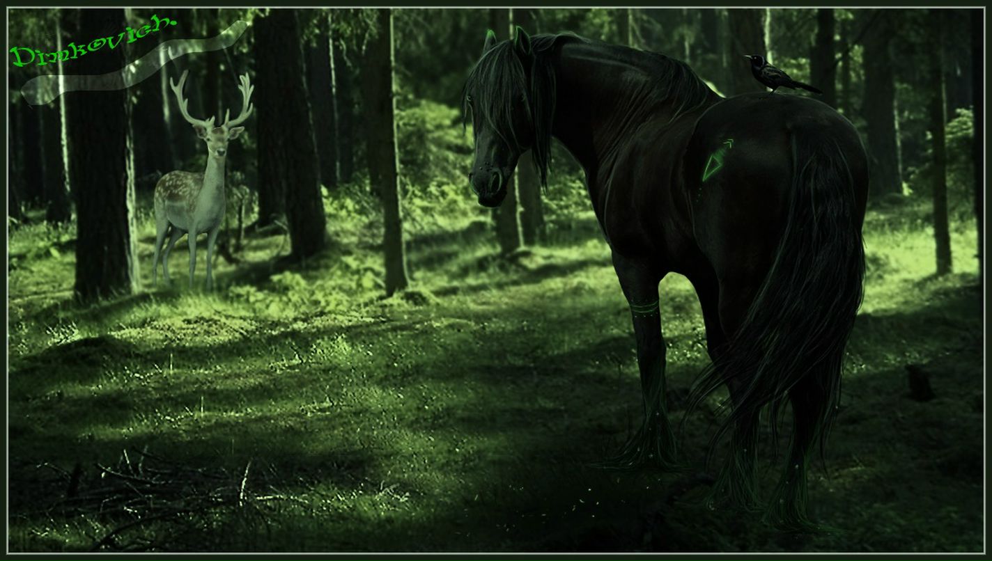 Дима Димкович фотография #6