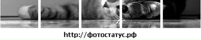 Сергей Поляков фотография #19 (источник - https://vk.com/id141664025)