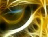 Саша Іскрицька фотография #32 (источник - https://vk.com/id73247965)