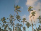 Фотография Акатовой Татьяны