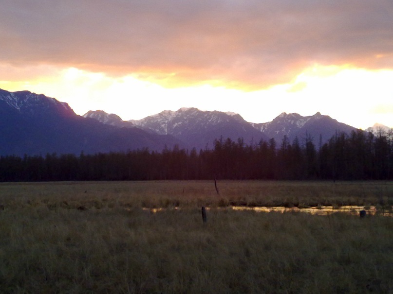 Михаил Рошков фотография #17