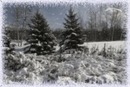 Сергій Мартинов фотография #25 (источник - https://vk.com/id140061832)