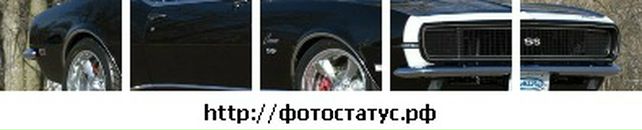 Віталік Янкович фотография #45 (источник - https://vk.com/id35243198)