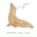 Фотография Ветра Одонаты