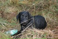 Артём Васильев фотография #36 (источник - https://vk.com/id657491)