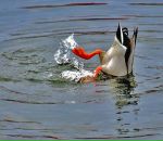 Фотография Маслов Вова