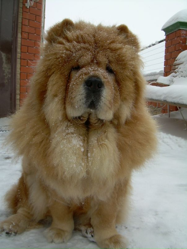 Виктор Матвеев фотография #46