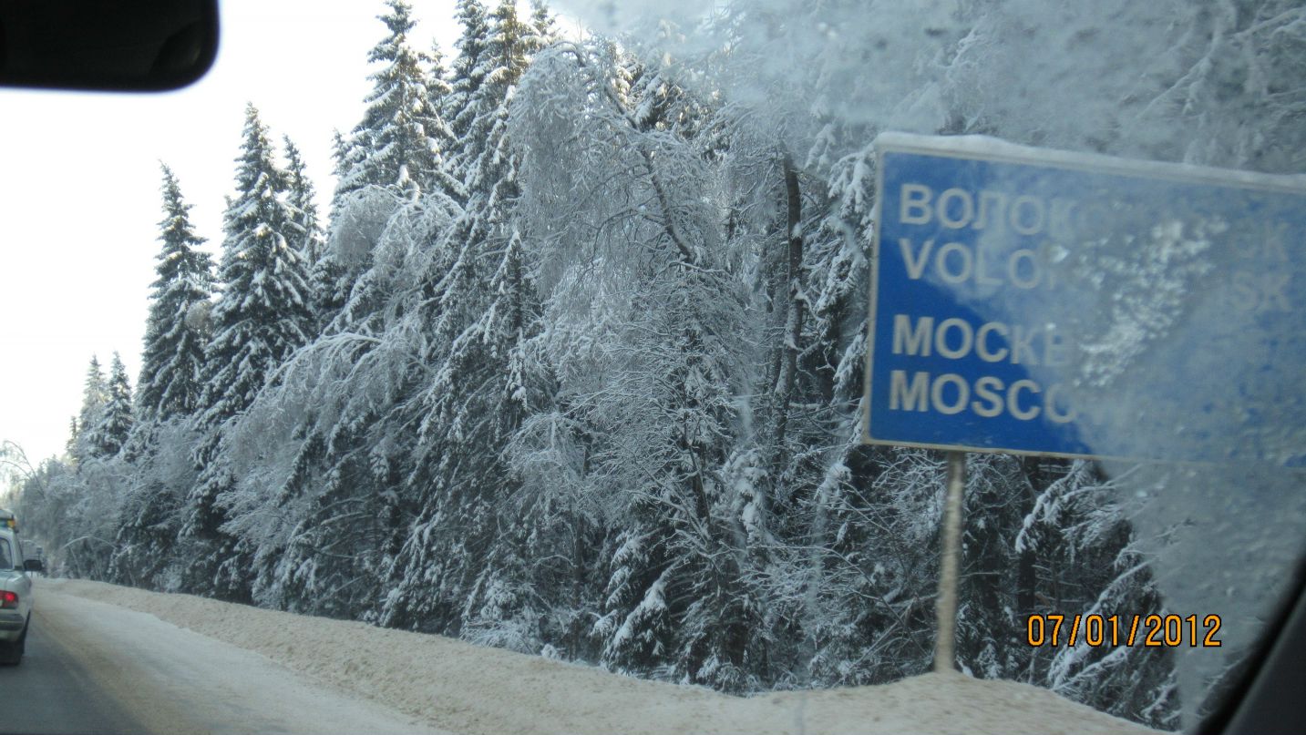 Дмитрий Грачёв фотография #29
