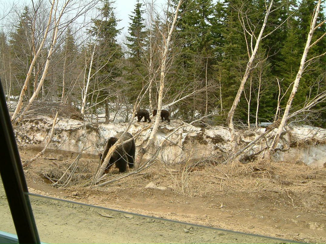 Сергей Розе фотография #26