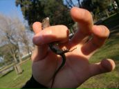 Віталік Майданський фотография #39 (источник - https://vk.com/id24347604)