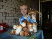 Polя♥ Polя фотография #36 (источник - https://vk.com/id135139270)