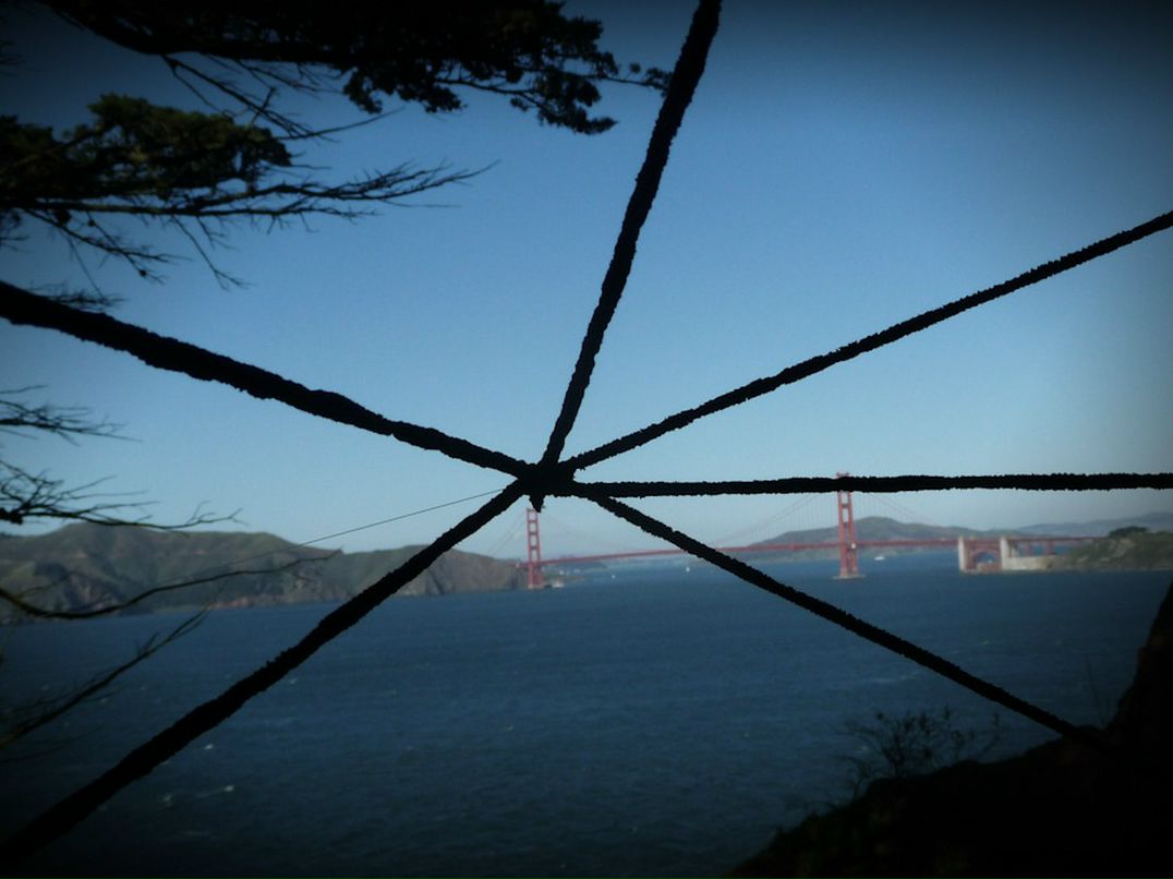 Руслан Чежин фотография #42