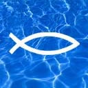 Радік Скоробогач фотография #24 (источник - https://vk.com/id145609271)