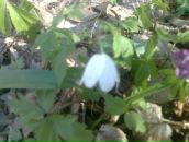 Діма Романчак фотография #16 (источник - https://vk.com/id52700250)