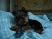 Максим Комков фотография #11 (источник - https://vk.com/id3566815)