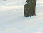 Таісія Двiрна фотография #5 (источник - https://vk.com/id132335520)